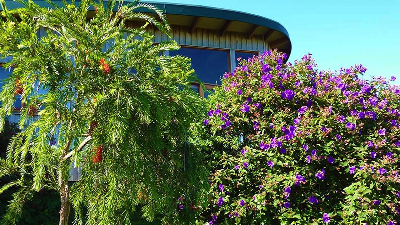 Photo of Outdoor in Johanna