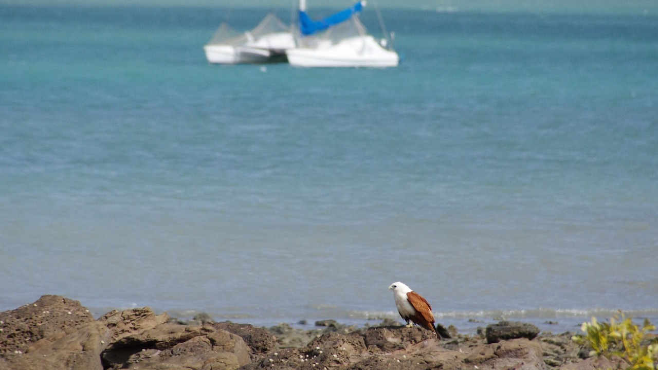 Photo of Others in Torquay