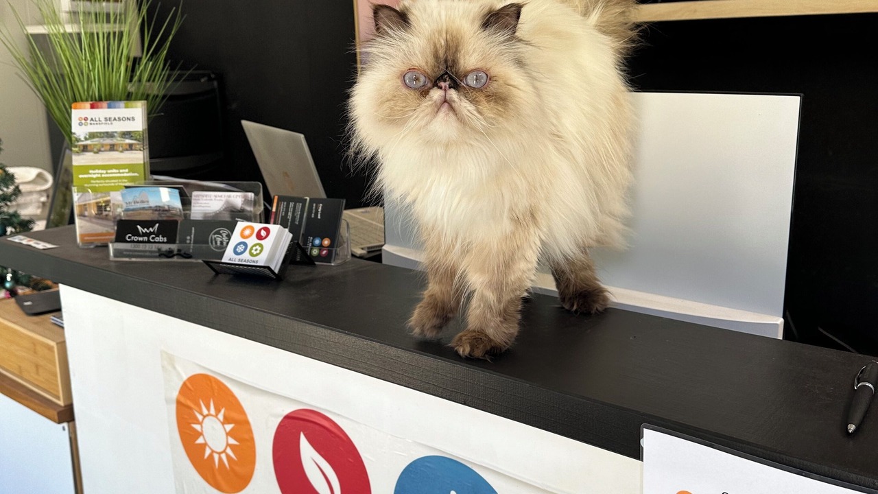 Photo of Others in Mansfield