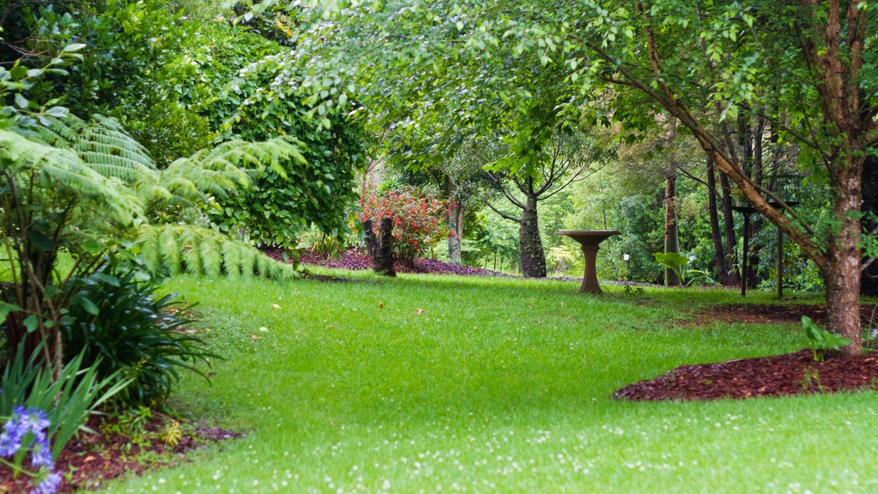 Photo of Outdoor in Mount Glorious