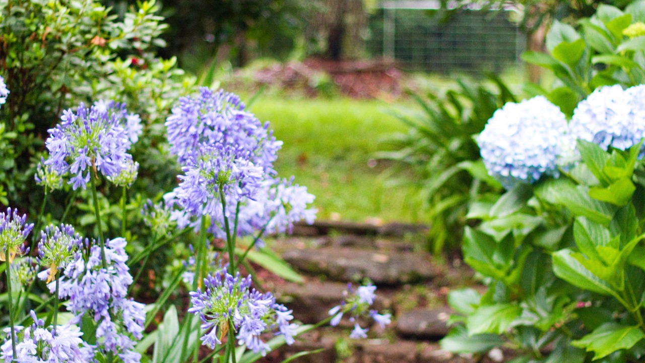 Photo of Bedroom in Mount Glorious