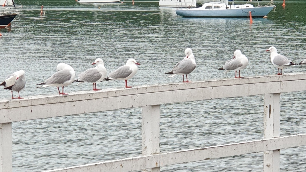 Photo of Others in Russell