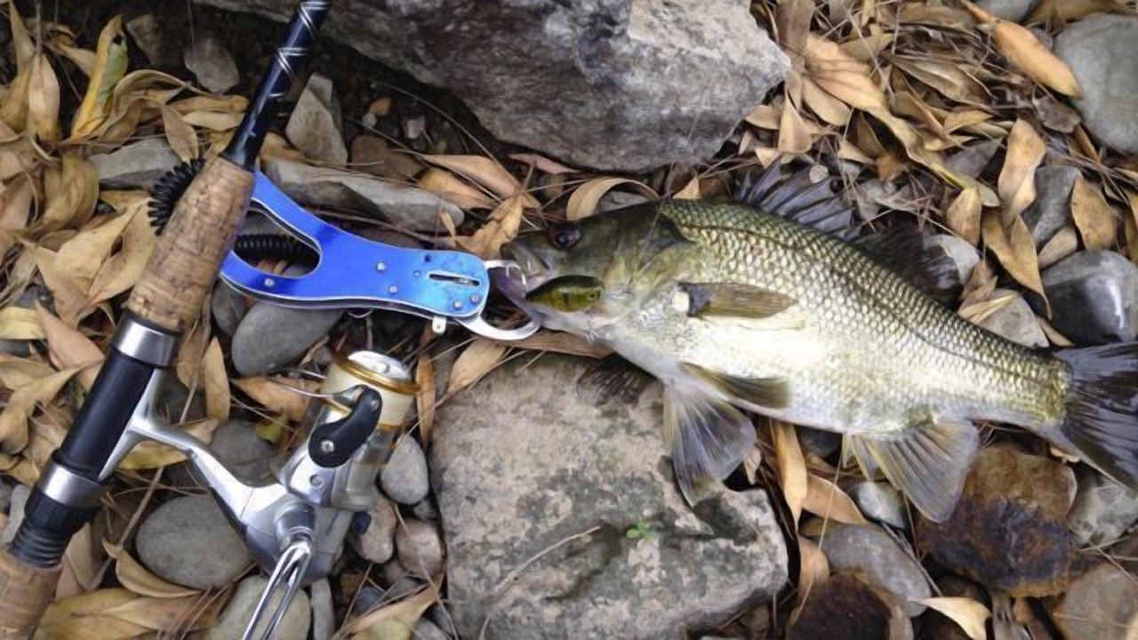 Photo of Others in Gloucester