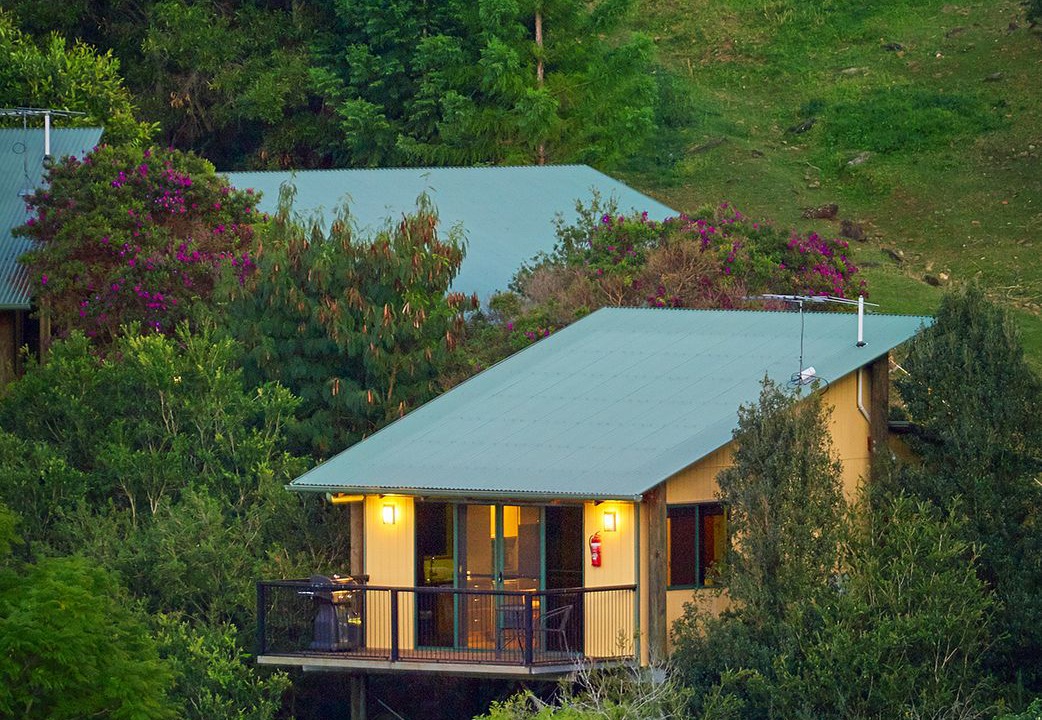 Photo of Outdoor in King Scrub