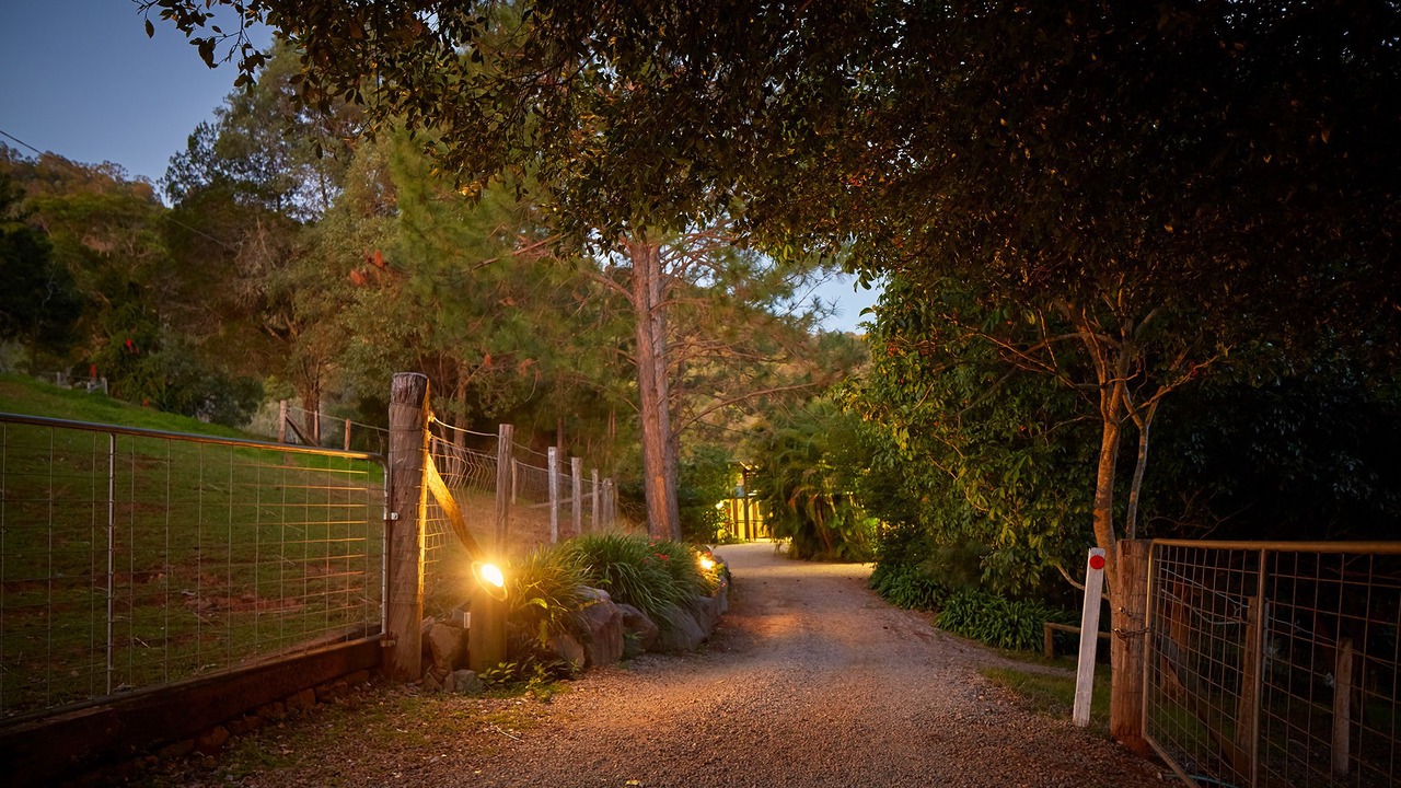 Photo of Outdoor in King Scrub