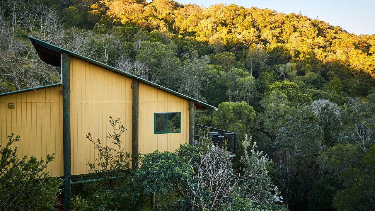 Photo of Outdoor in King Scrub