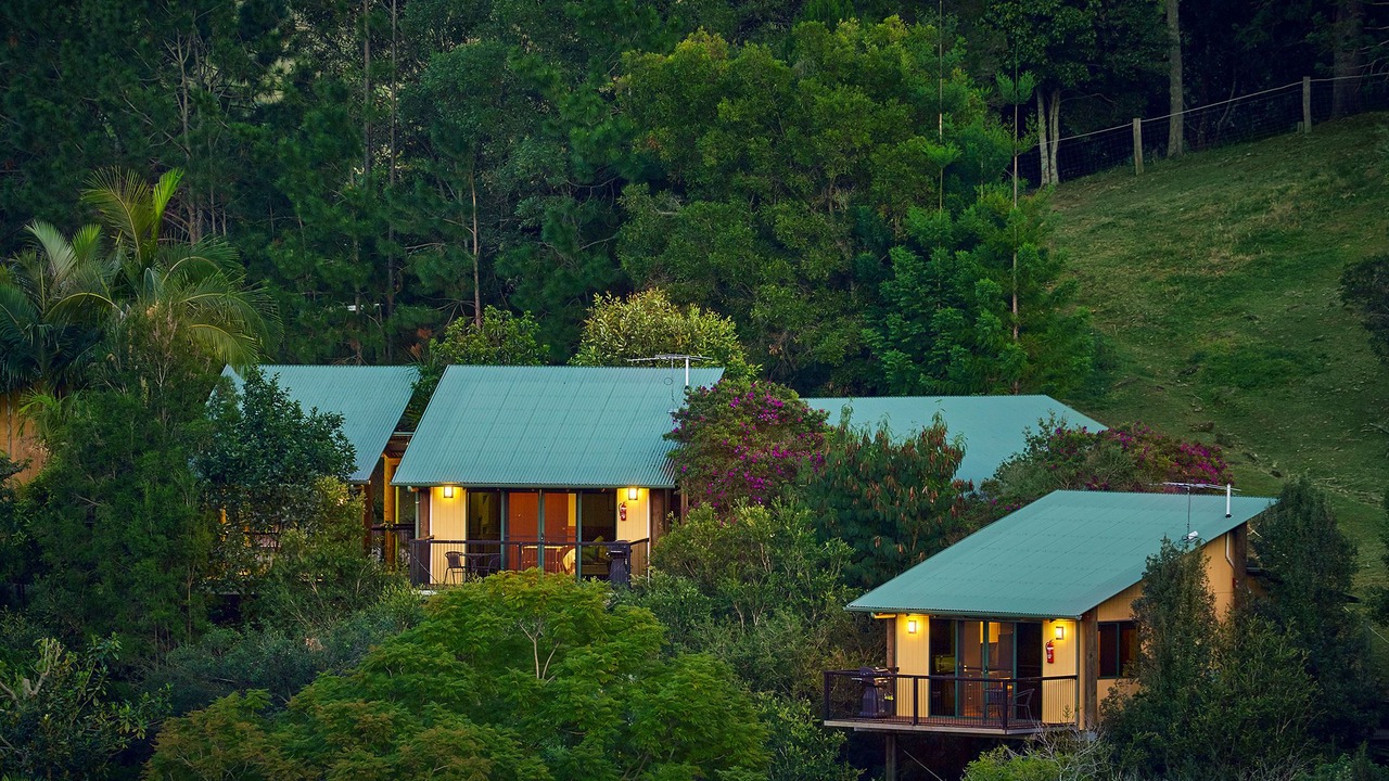 Photo of Outdoor in King Scrub