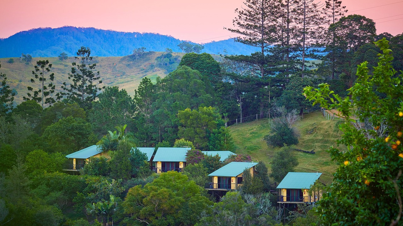 Photo of Others in King Scrub