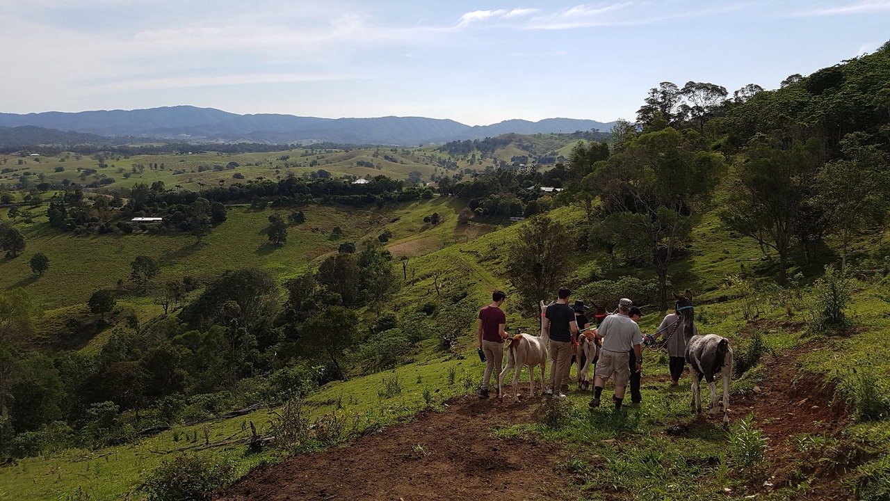 Photo of Outdoor in King Scrub