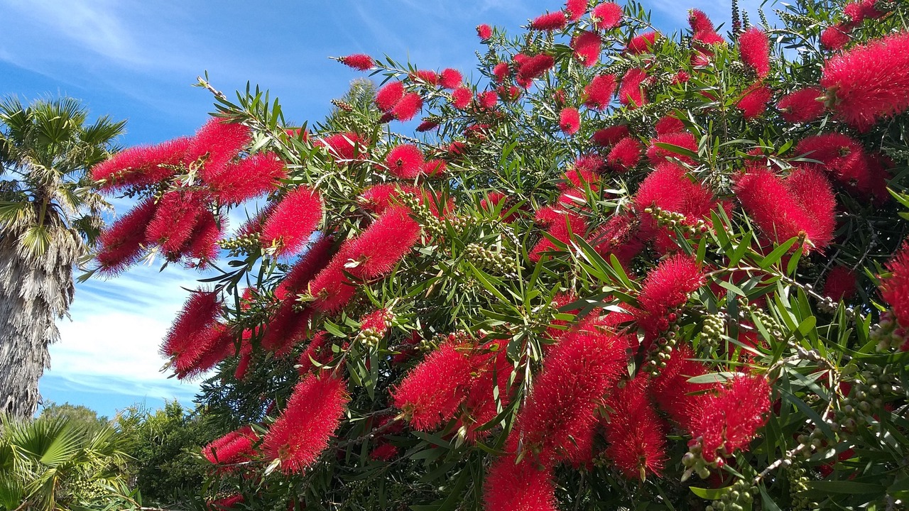 Photo of Outdoor in Cowes