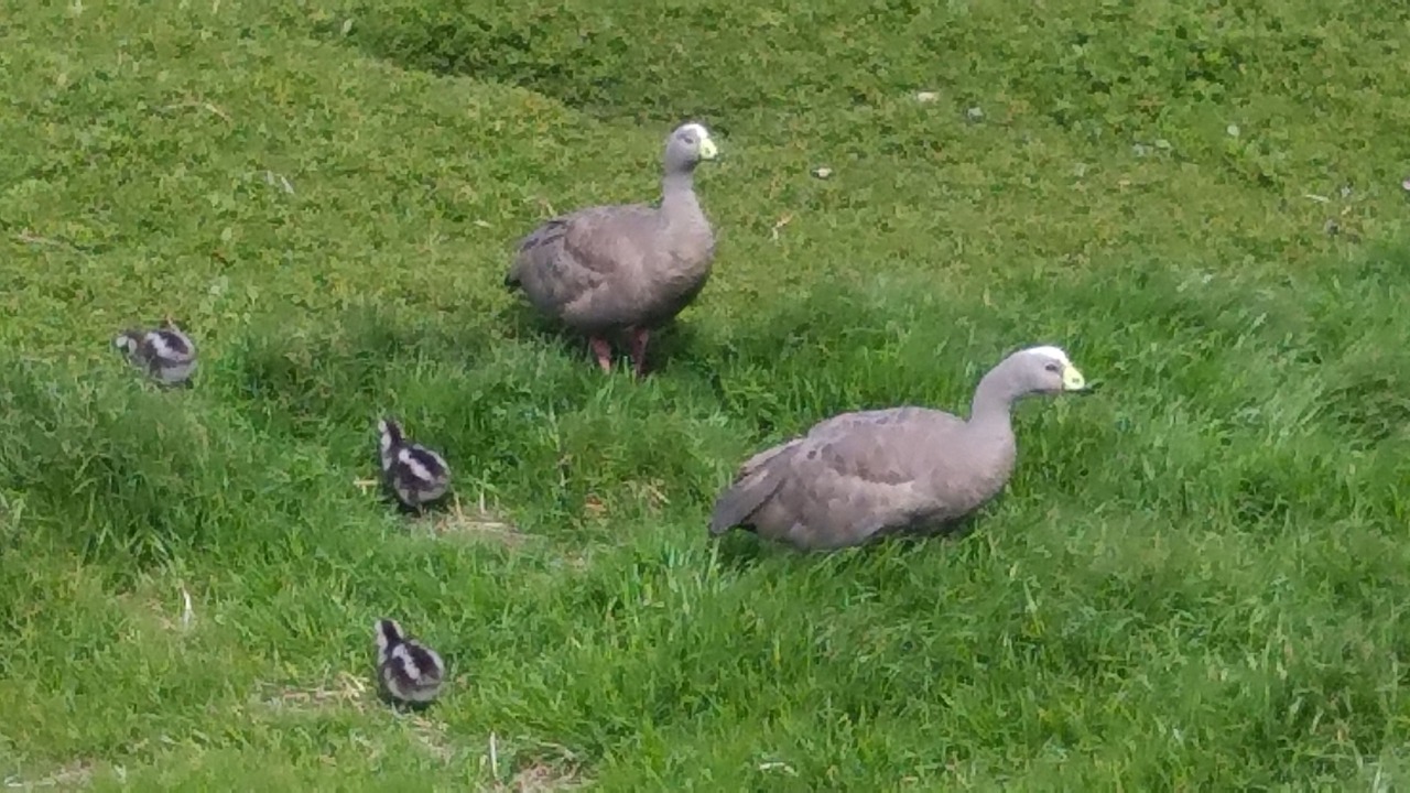 Photo of Outdoor in Cowes