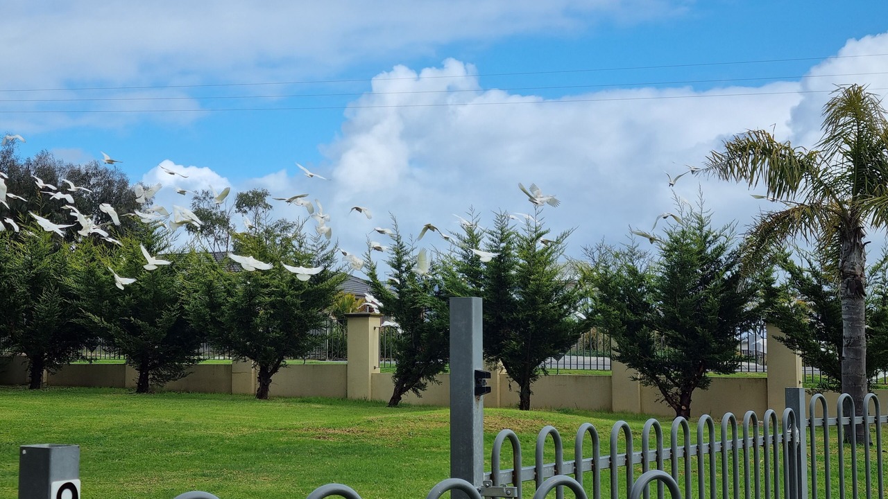 Photo of Outdoor in Cowes