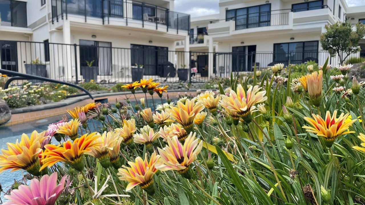 Photo of Outdoor in Pauanui