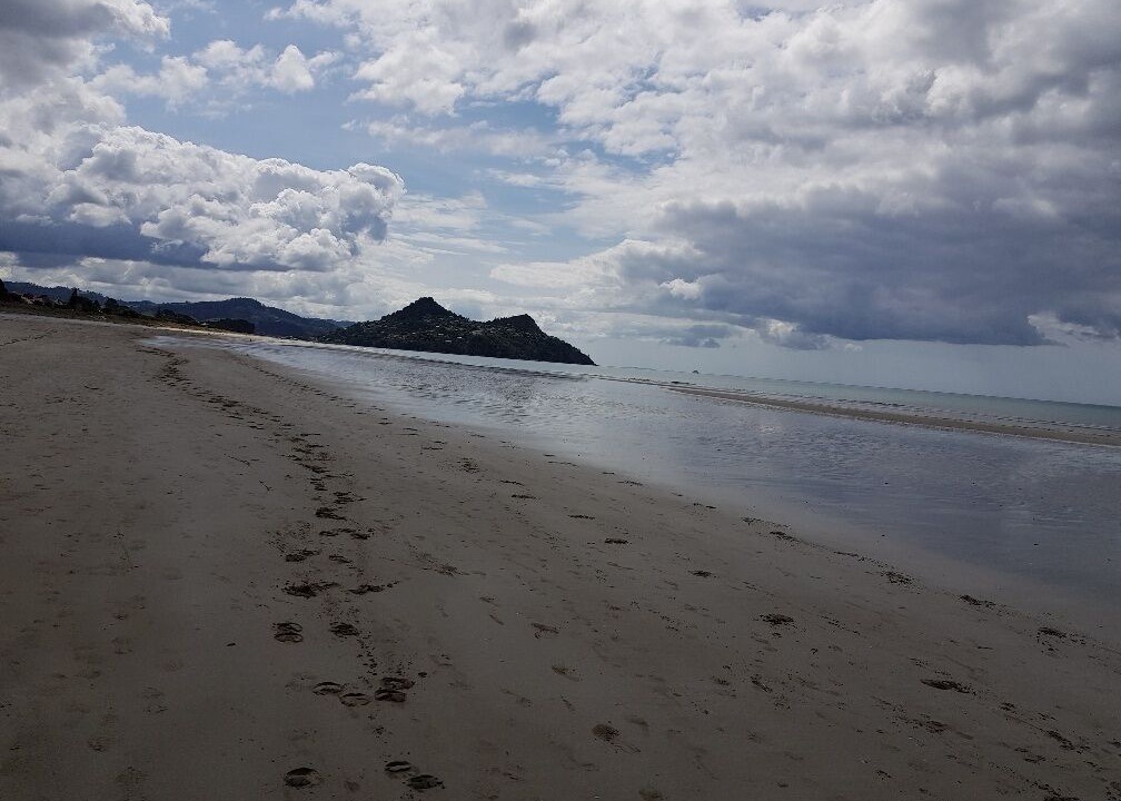 Photo of Others in Pauanui