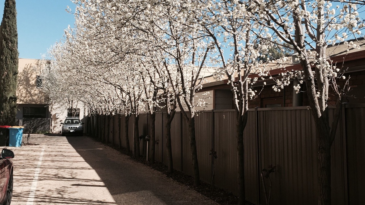 Photo of Outdoor in Shepparton South