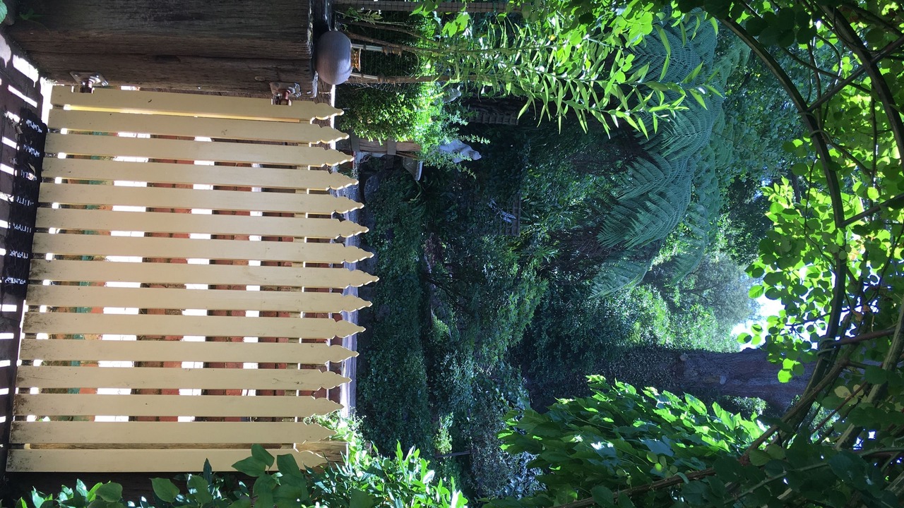 Photo of Outdoor in Warburton