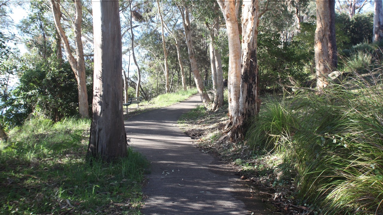 Photo of Outdoor in Nelson Bay