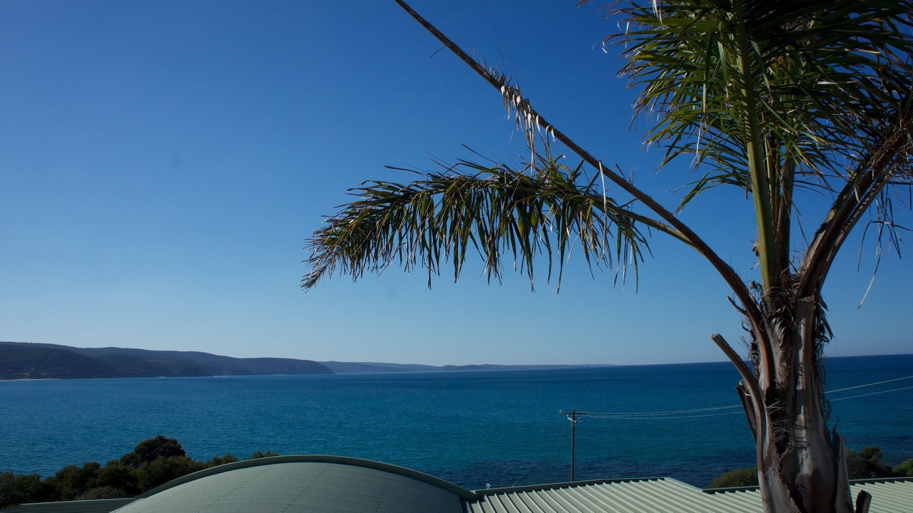 Photo of Others in Lorne