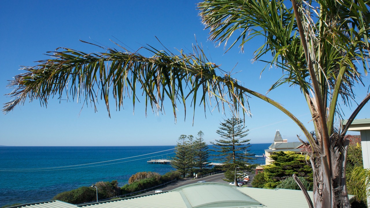 Photo of Others in Lorne