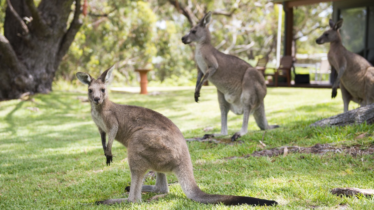 Photo of Outdoor in Sanctuary Point