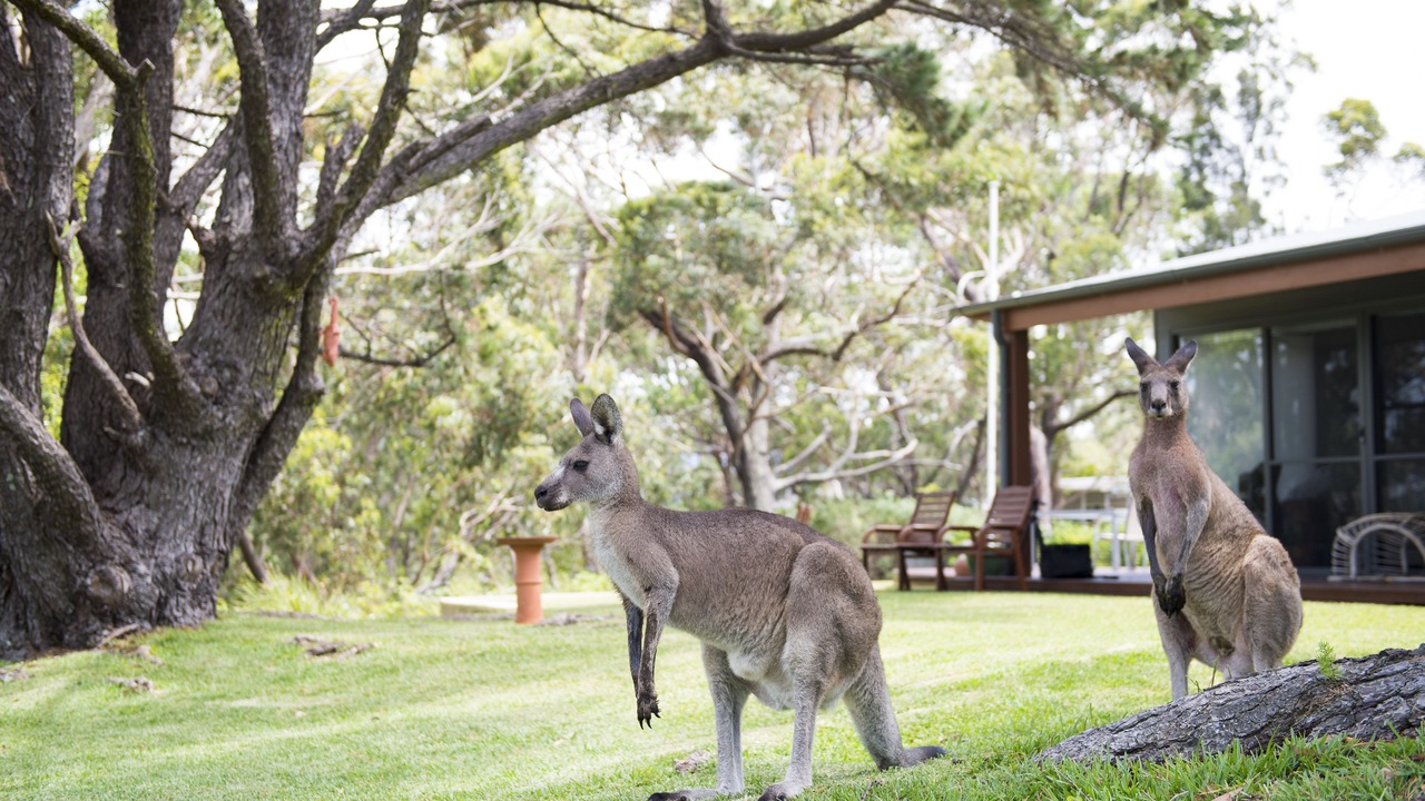 Photo of Outdoor in Sanctuary Point