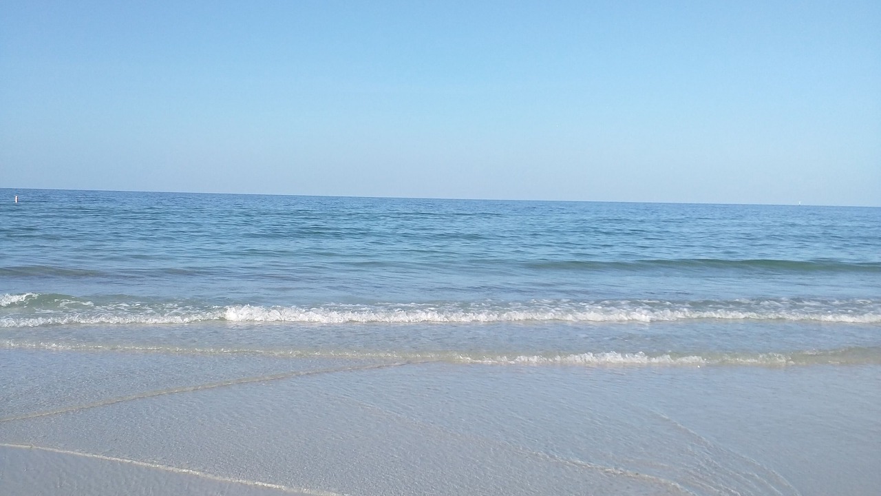 Photo of Others in Siesta Key