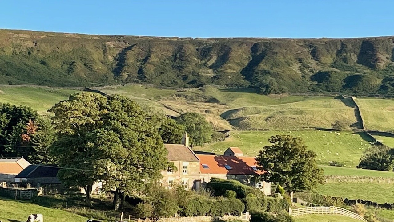 Photo of Outdoor in Danby