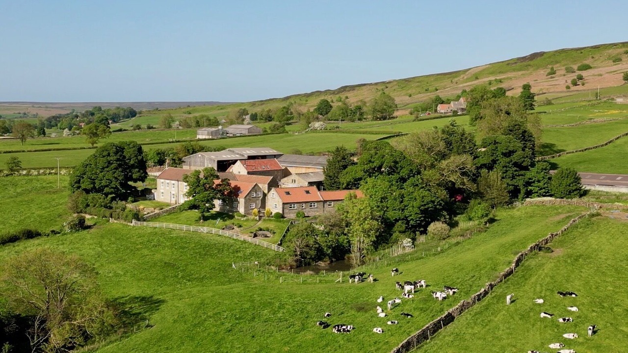 Photo of Outdoor in Danby