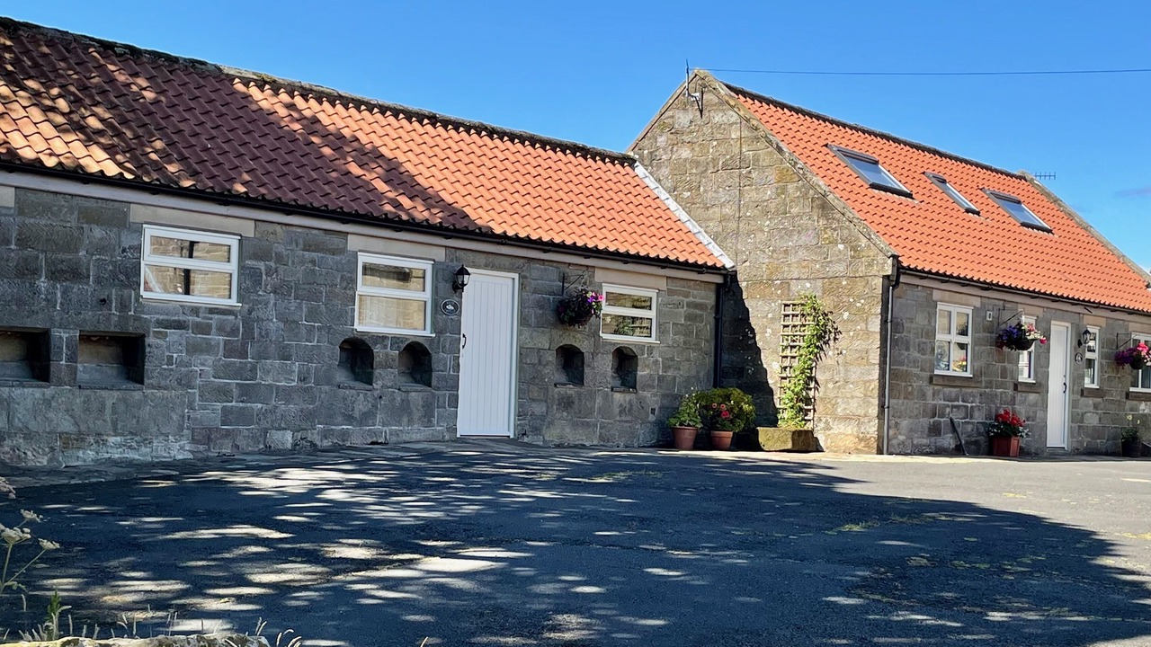 Photo of Outdoor in Danby