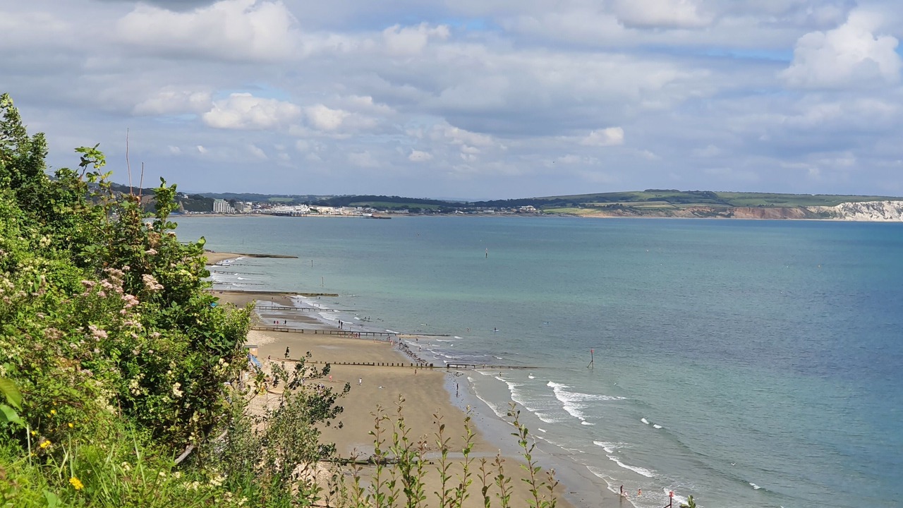 Photo of Others in Sandown