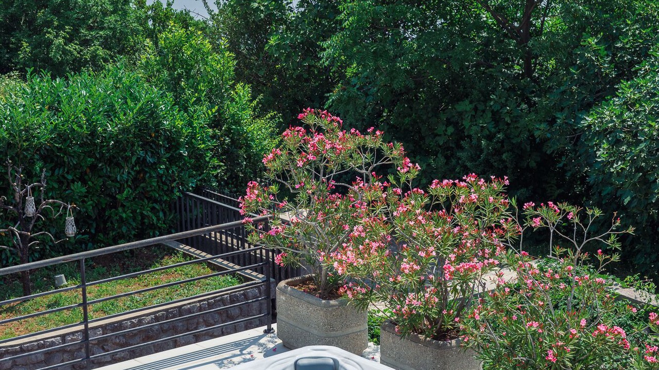 Photo of Outdoor in Bregi