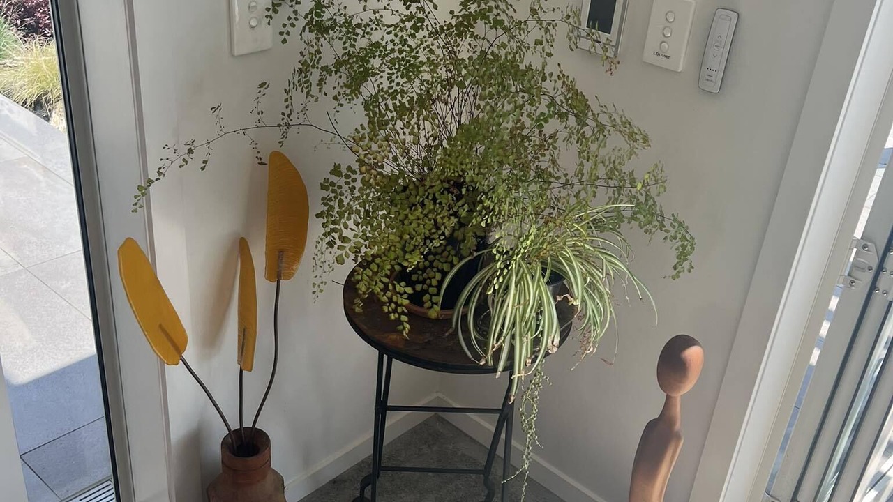 Photo of Others in Cable Bay