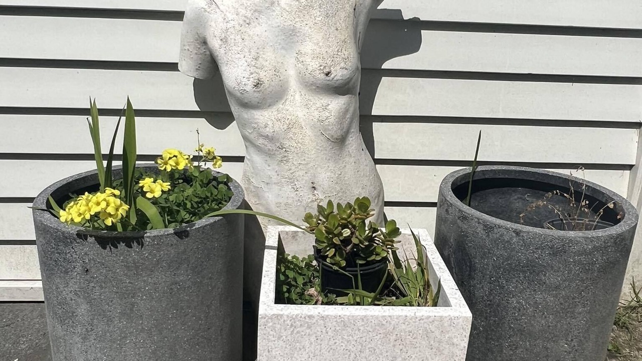 Photo of Outdoor in Cable Bay