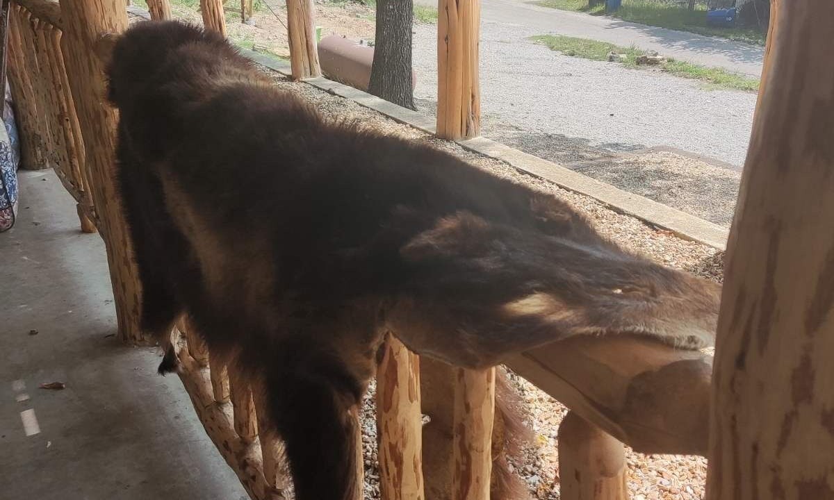 Photo of Others in Rockaway Beach