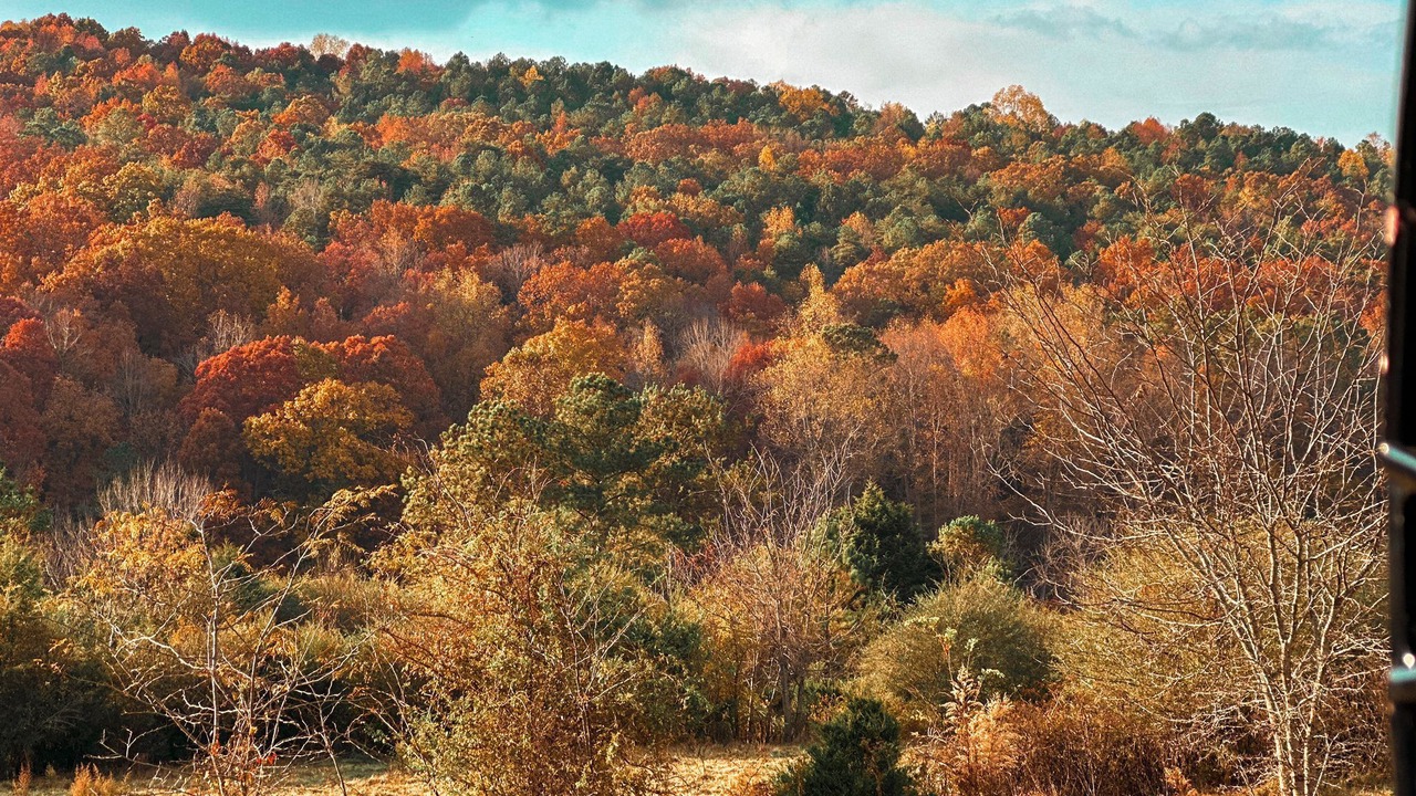 Photo of Bedroom in Cave Spring