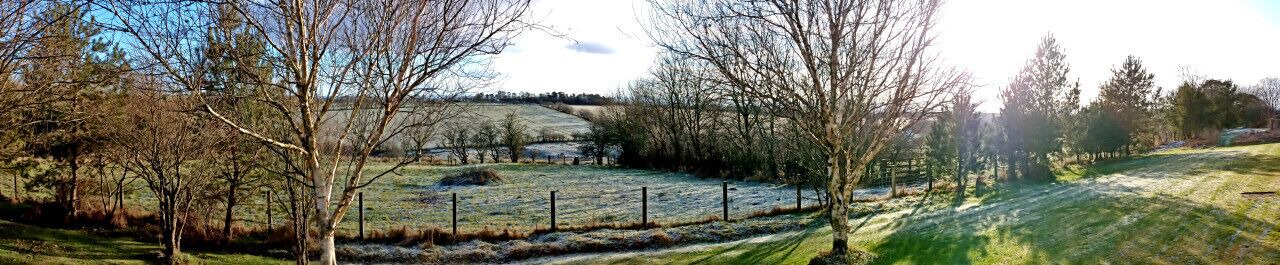 Photo of Others in Mauchline