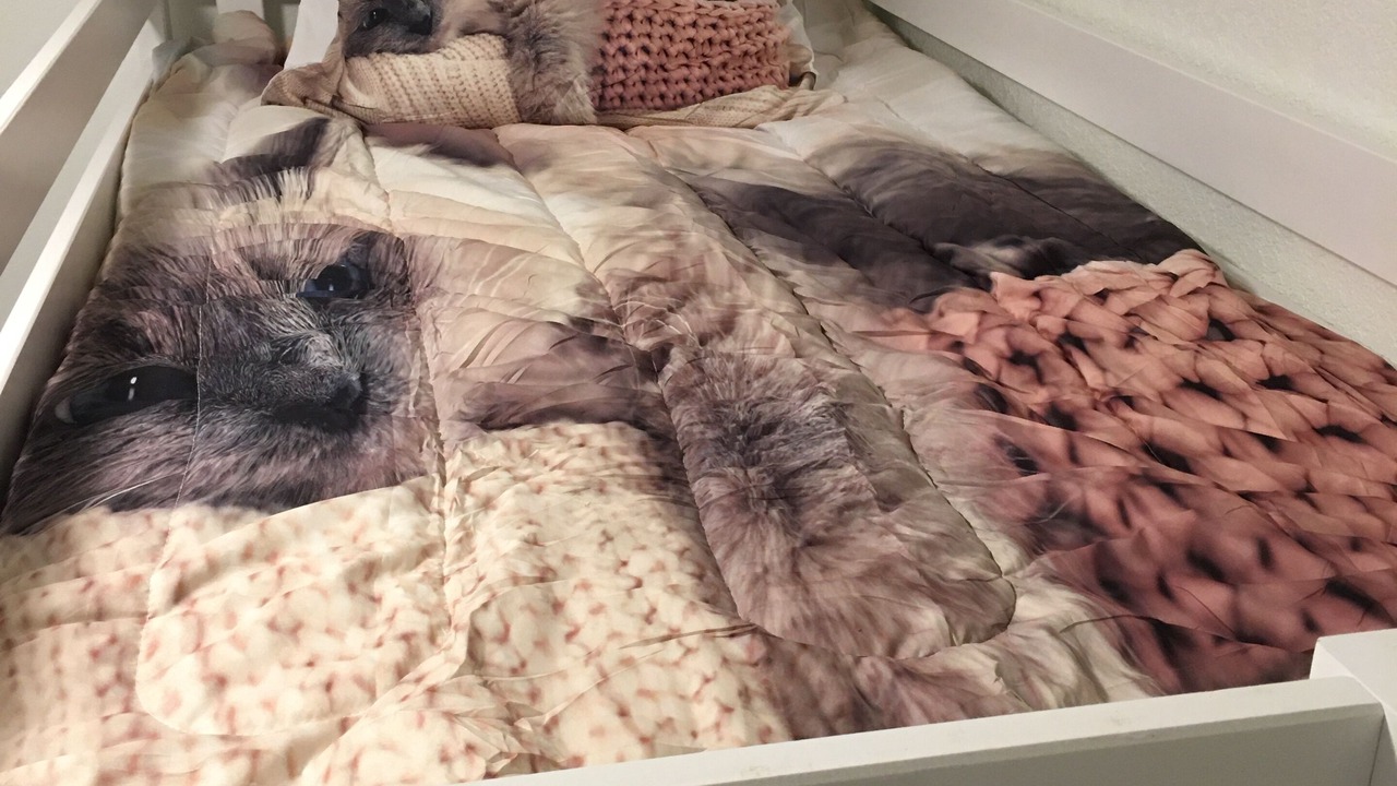 Photo of Bedroom in Bonney Lake