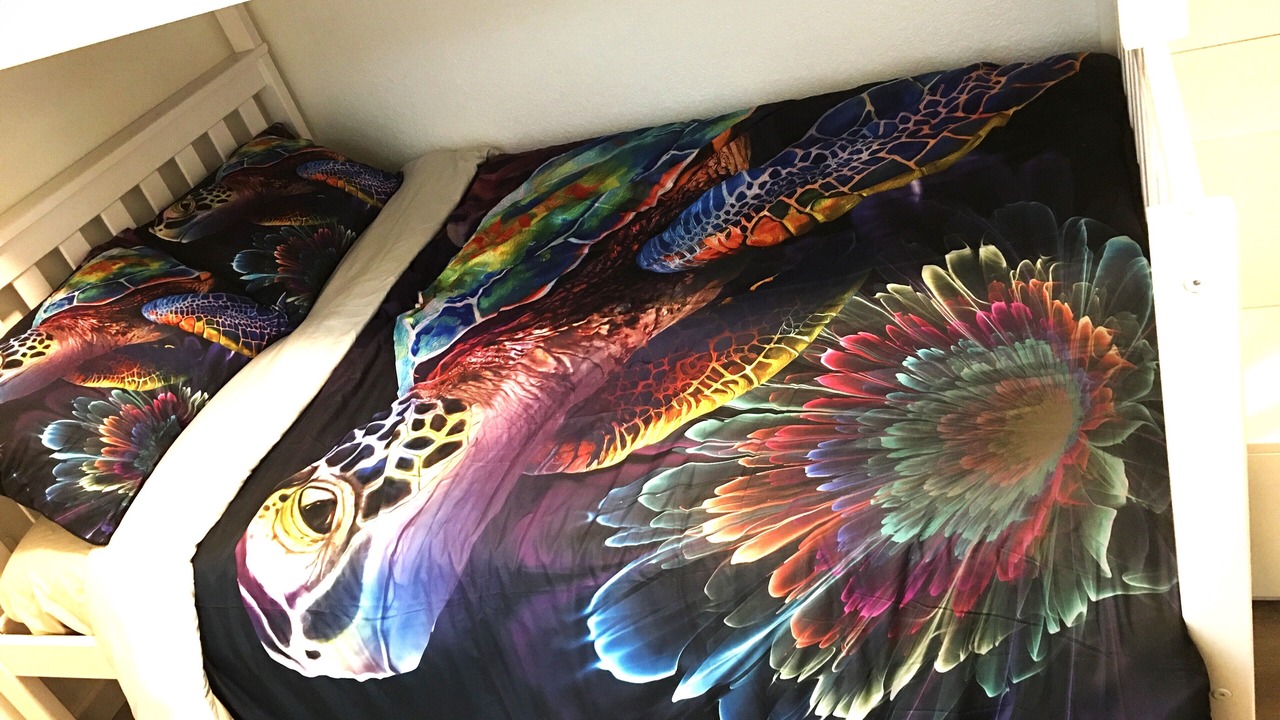 Photo of Bedroom in Bonney Lake