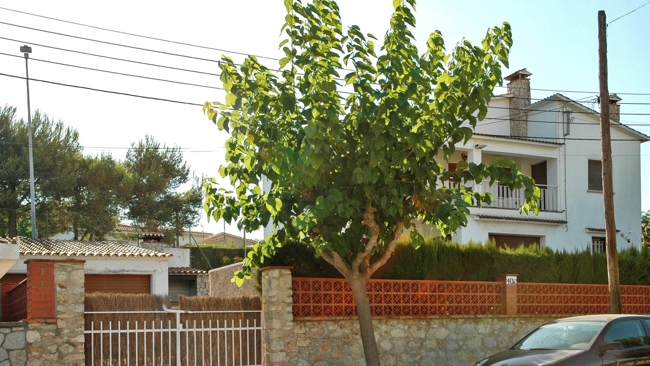 Photo of Others in Canyelles