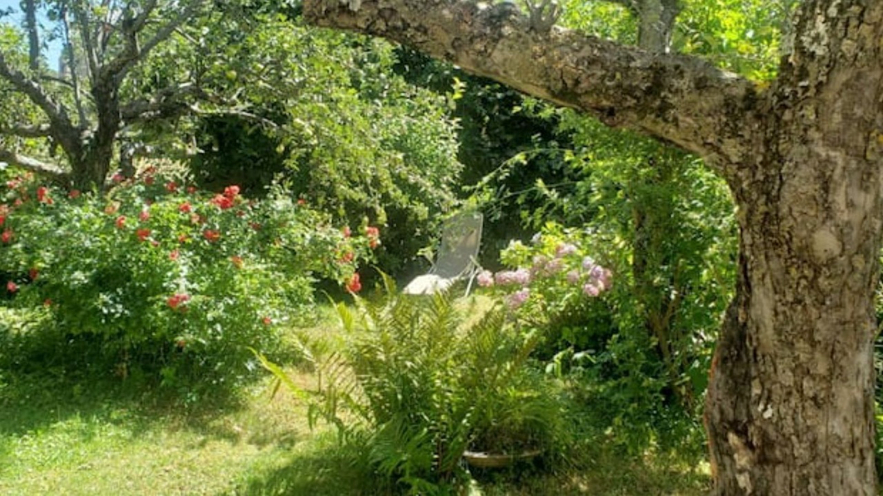 Photo of Outdoor in Valdeblore