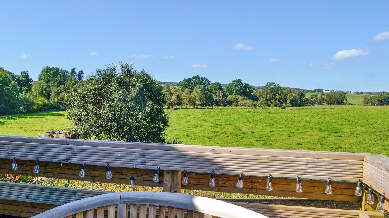 Photo of Others in Wing