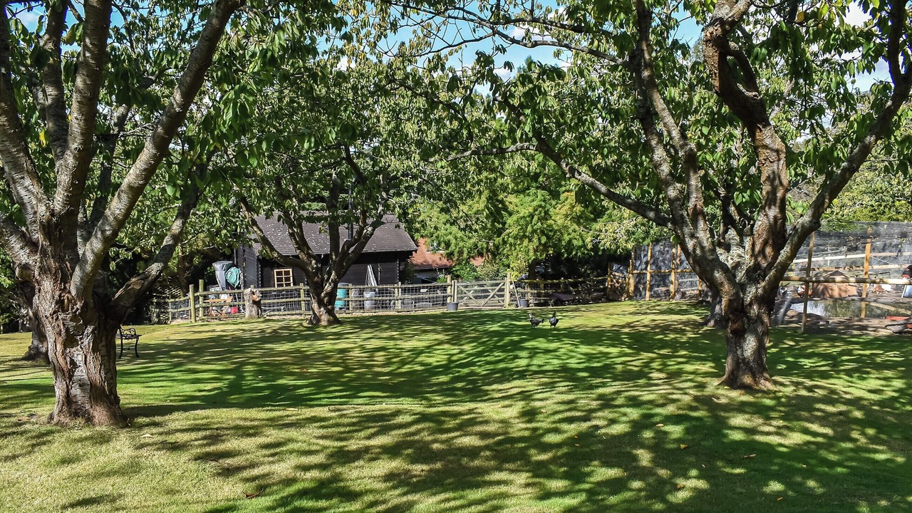 Photo of Outdoor in Boughton-under-Blean