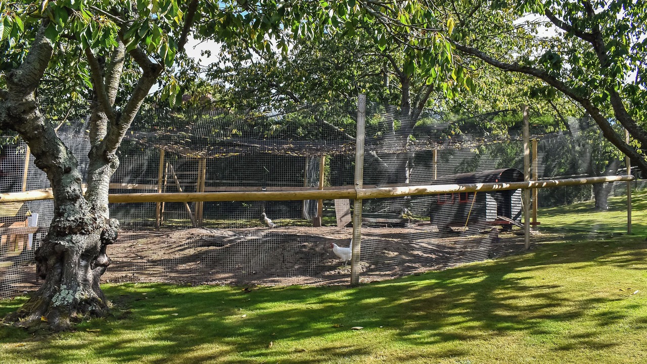 Photo of Outdoor in Boughton-under-Blean