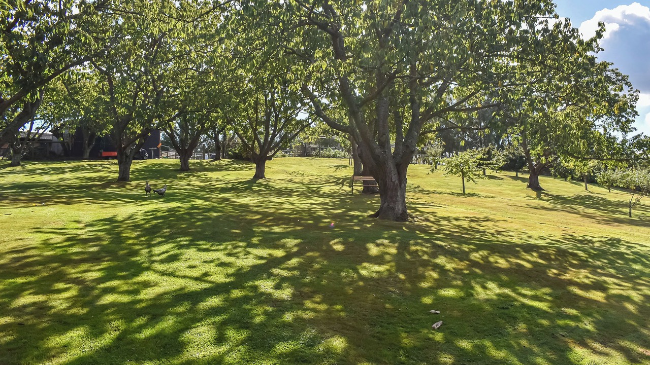 Photo of Outdoor in Boughton-under-Blean