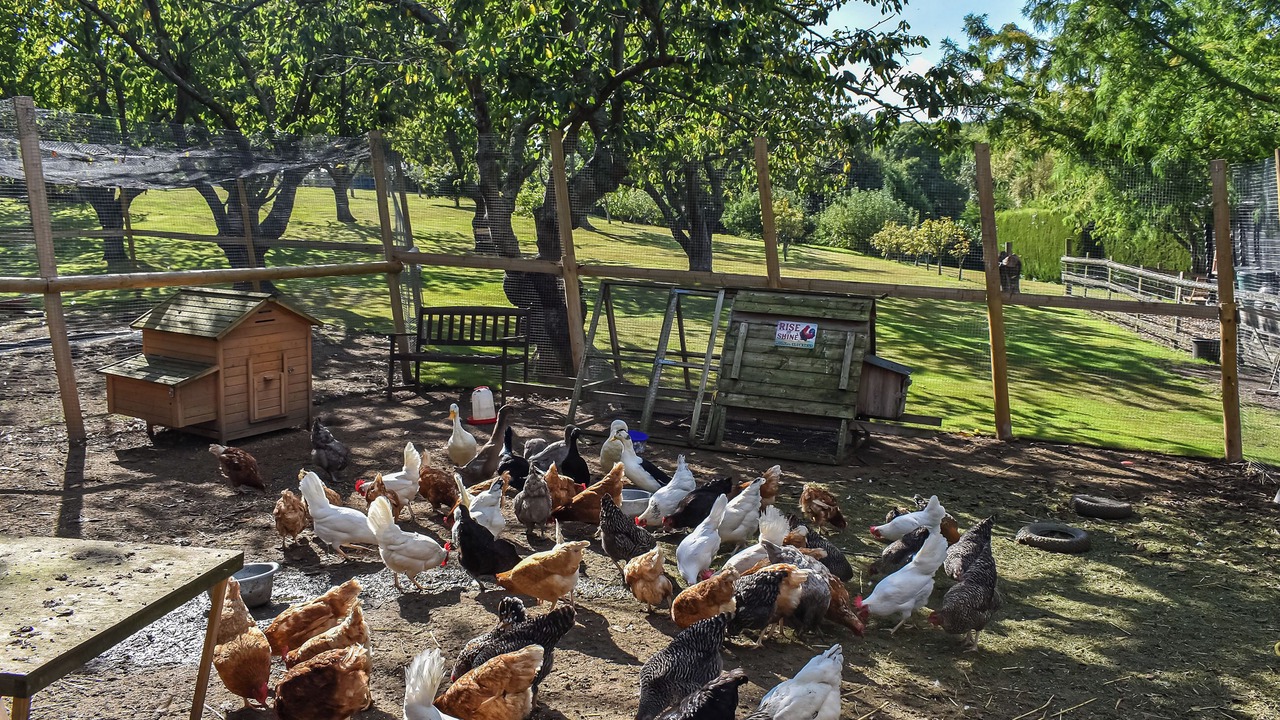 Photo of Outdoor in Boughton-under-Blean