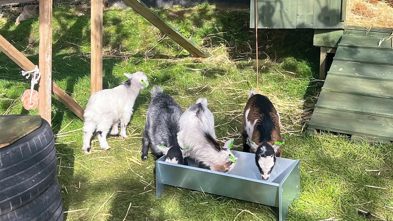 Photo of Outdoor in Boughton-under-Blean