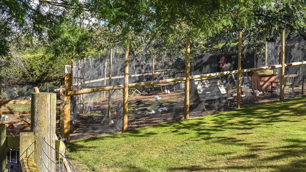 Photo of Outdoor in Boughton-under-Blean