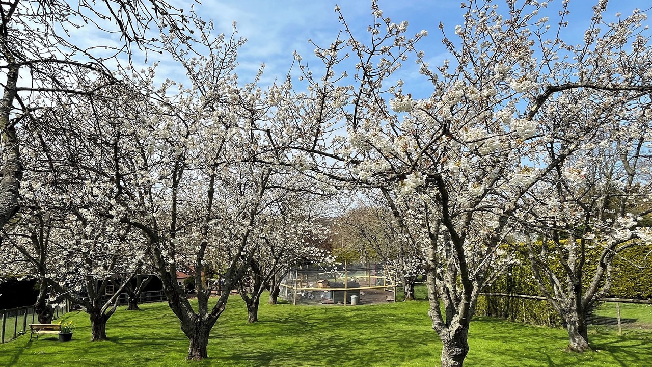 Photo of Outdoor in Boughton-under-Blean