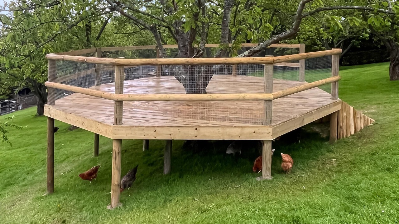 Photo of Outdoor in Boughton-under-Blean