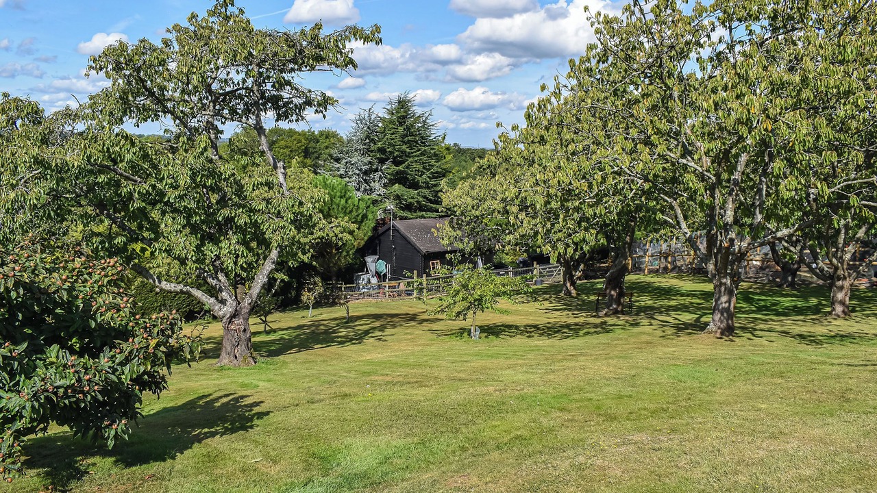 Photo of Outdoor in Boughton-under-Blean